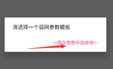 金砖弱网使用方法介绍