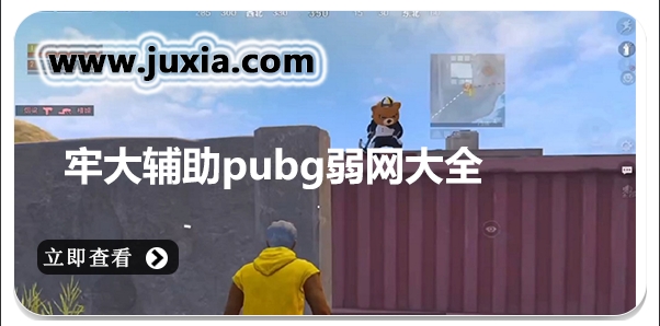 牢大辅助pubg