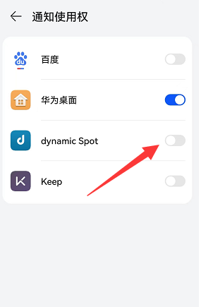 dynamicSpot pro高级