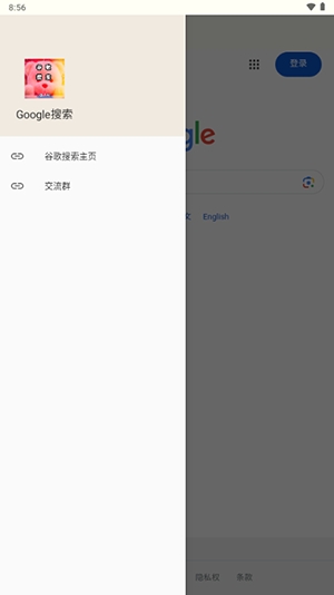 Google搜索