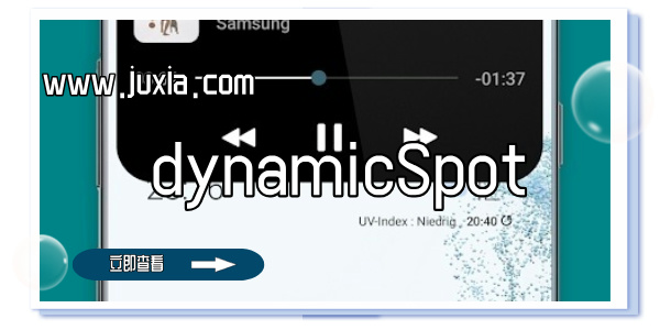 dynamicSpot