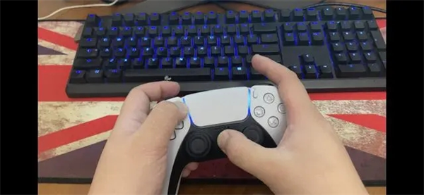 PS4 Remote Play