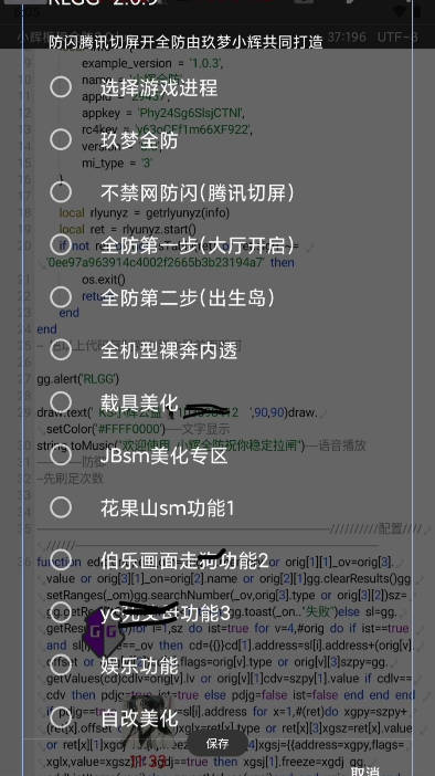 小辉全防截图