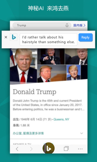 必应bing国际版截图
