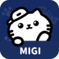 migi笔记1.15.2