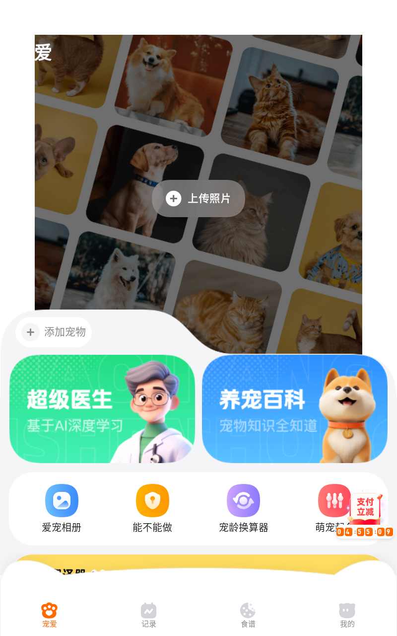 宠爱app